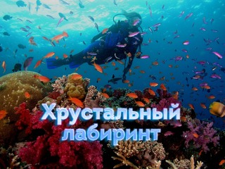 Хрустальный лабиринт