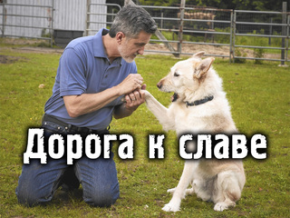 Дорога к славе