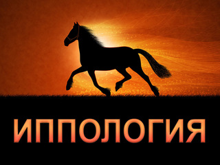 Иппология