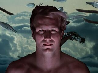 Другие ипостаси