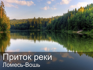 Приток реки Ломесь-Вошь