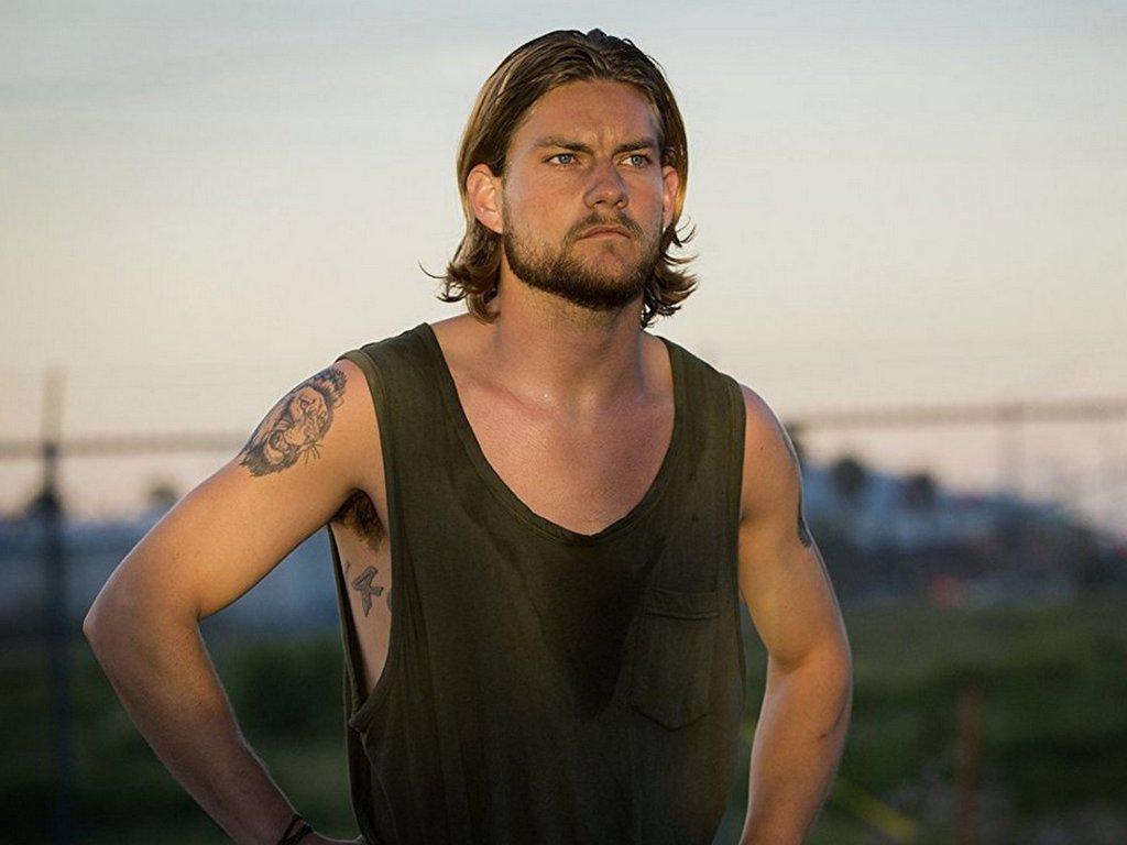 По волчьим законам