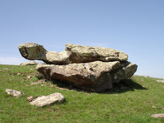 Каменная черепаха