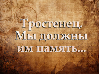 Тростенец. Мы должны им память...