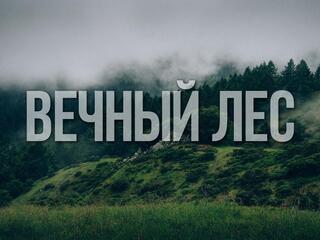 Вечный лес