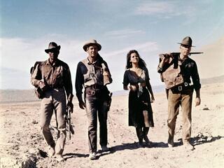 The Professionals