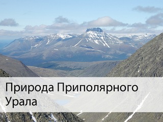 Природа Приполярного Урала