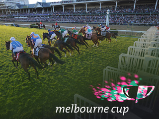 Скачки. "Melbourne Cup". Трансляция из Австралии