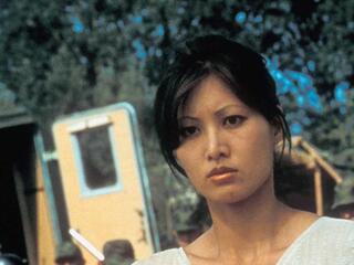 Битва драконов