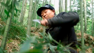 Тайны Китая