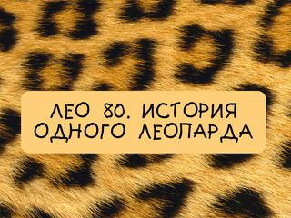 Лео 80. История одного леопарда