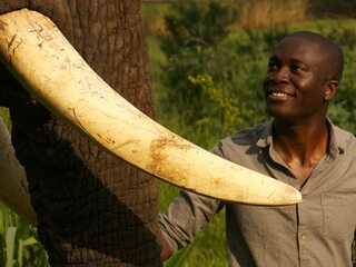 Сверхчувства животных