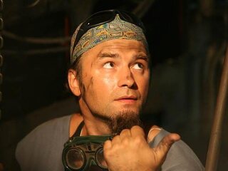 Битвы божьих коровок