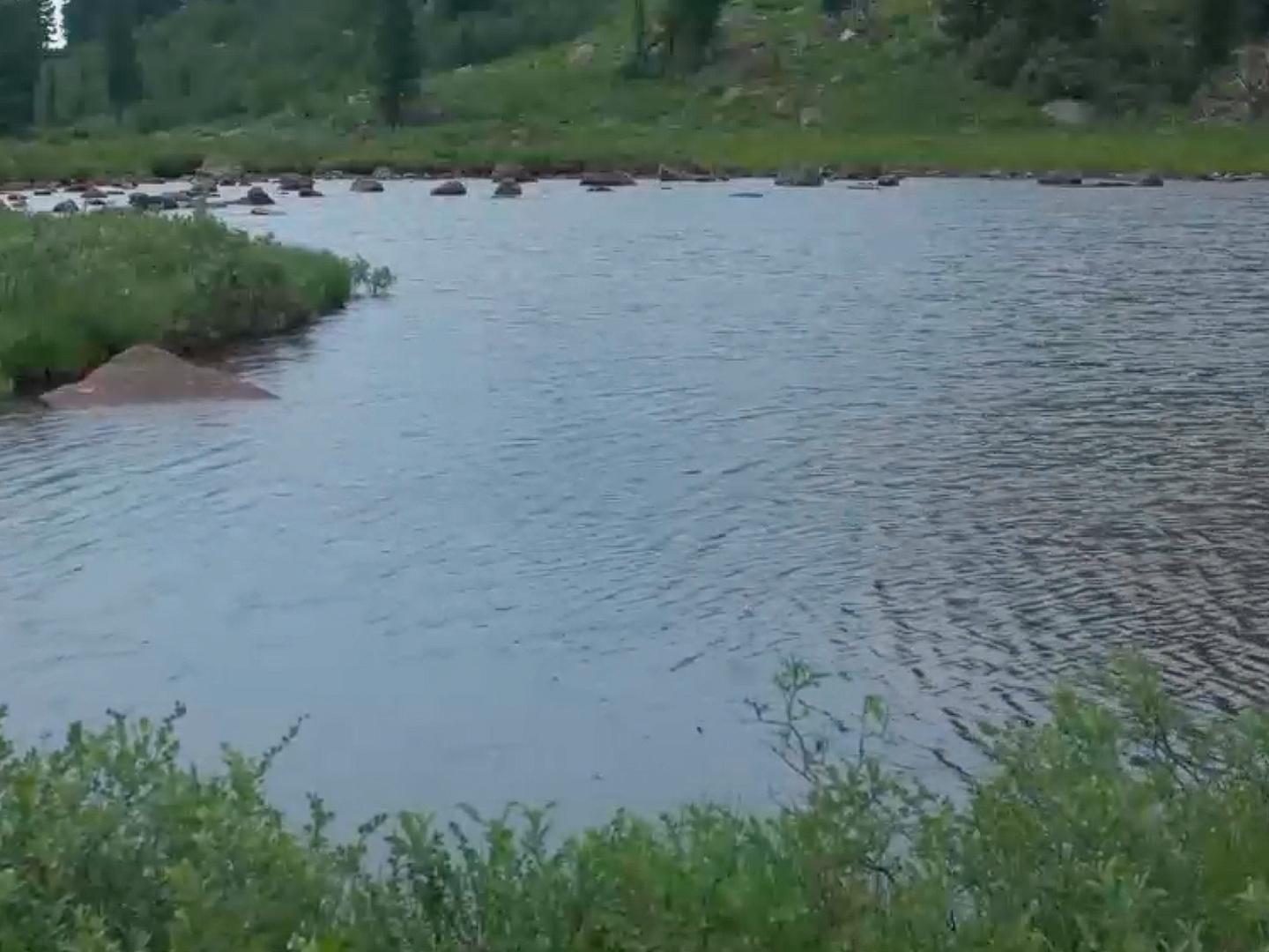 Ергаки