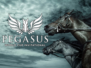 Скачки. "Pegasus World Cup". Трансляция из США