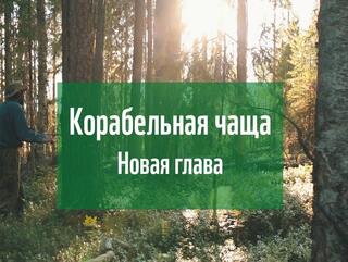 Корабельная чаща. Новая глава