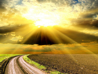 Дорога к отцу