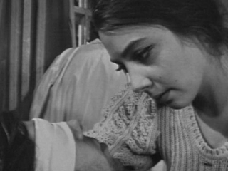 Следствие ведут знатоки: Свидетель