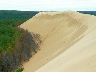 Тукуланы