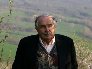 Amarcord. Я помню... Тонино Гуэрра
