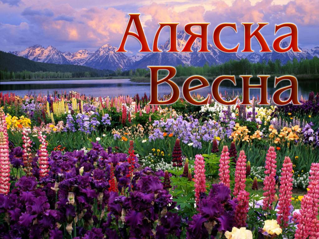 Аляска