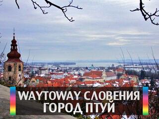WaytoWay Словения город Птуй