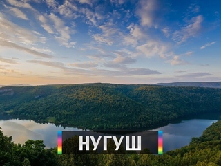 НУГУШ