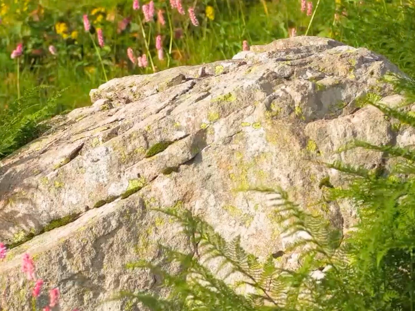 Золотая Долина