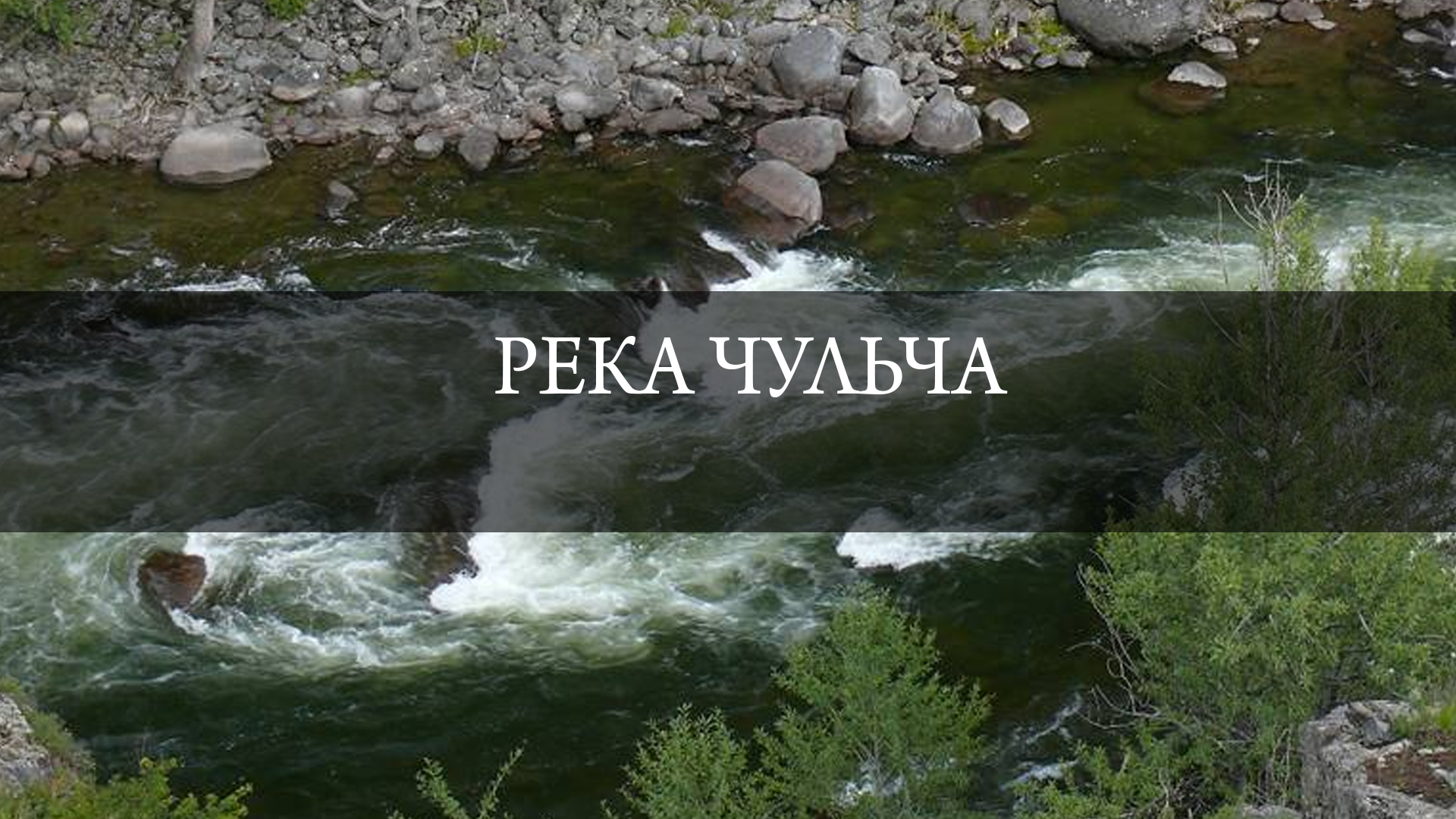 Река Чульча