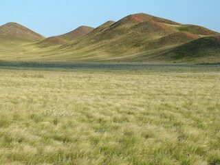 Буртинская степь