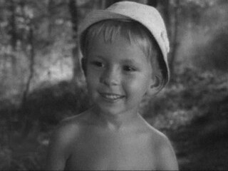 Братья Комаровы