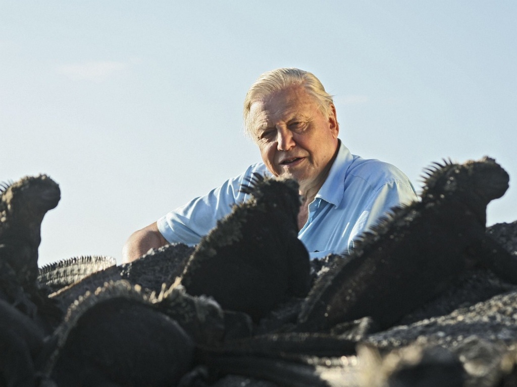 Чудеса живой природы с Дэвидом Аттенборо