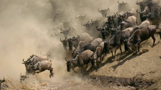 Великая миграция