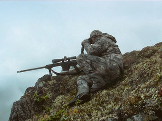 Пульс охоты