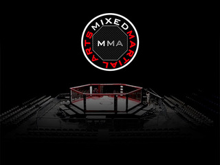 Шоу Tech Krep "Ночь чемпионов" (ММА, К-1 и бокс - профессионалы). Пластуновская (Россия)