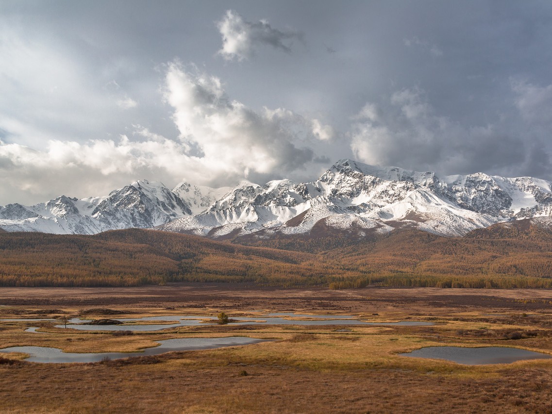 Курайская степь