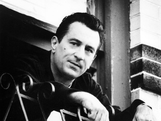 Бронкская история