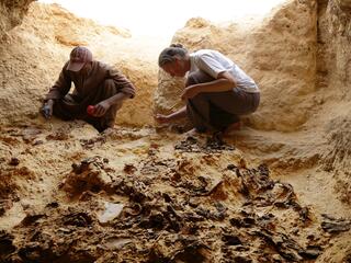 Тайны египетских пирамид