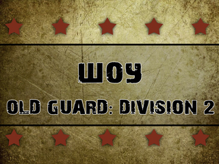 Шоу Old Guard: Division 2 (ММА, профессионалы). Павловский Посад (Россия)