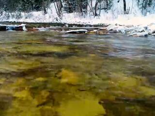 Река Сарва