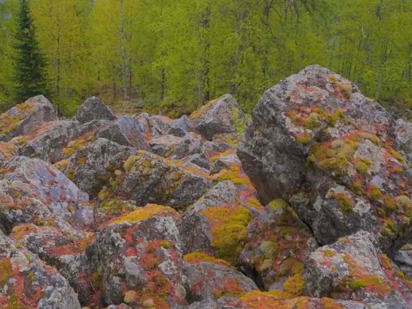 Хребет Караташ