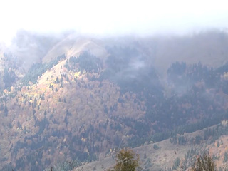 Аланы. Новый завет