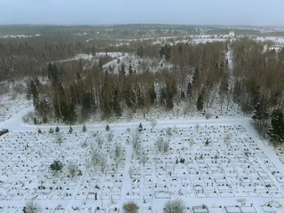 С видом на жизнь