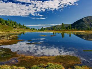 Заоблачные кладовые