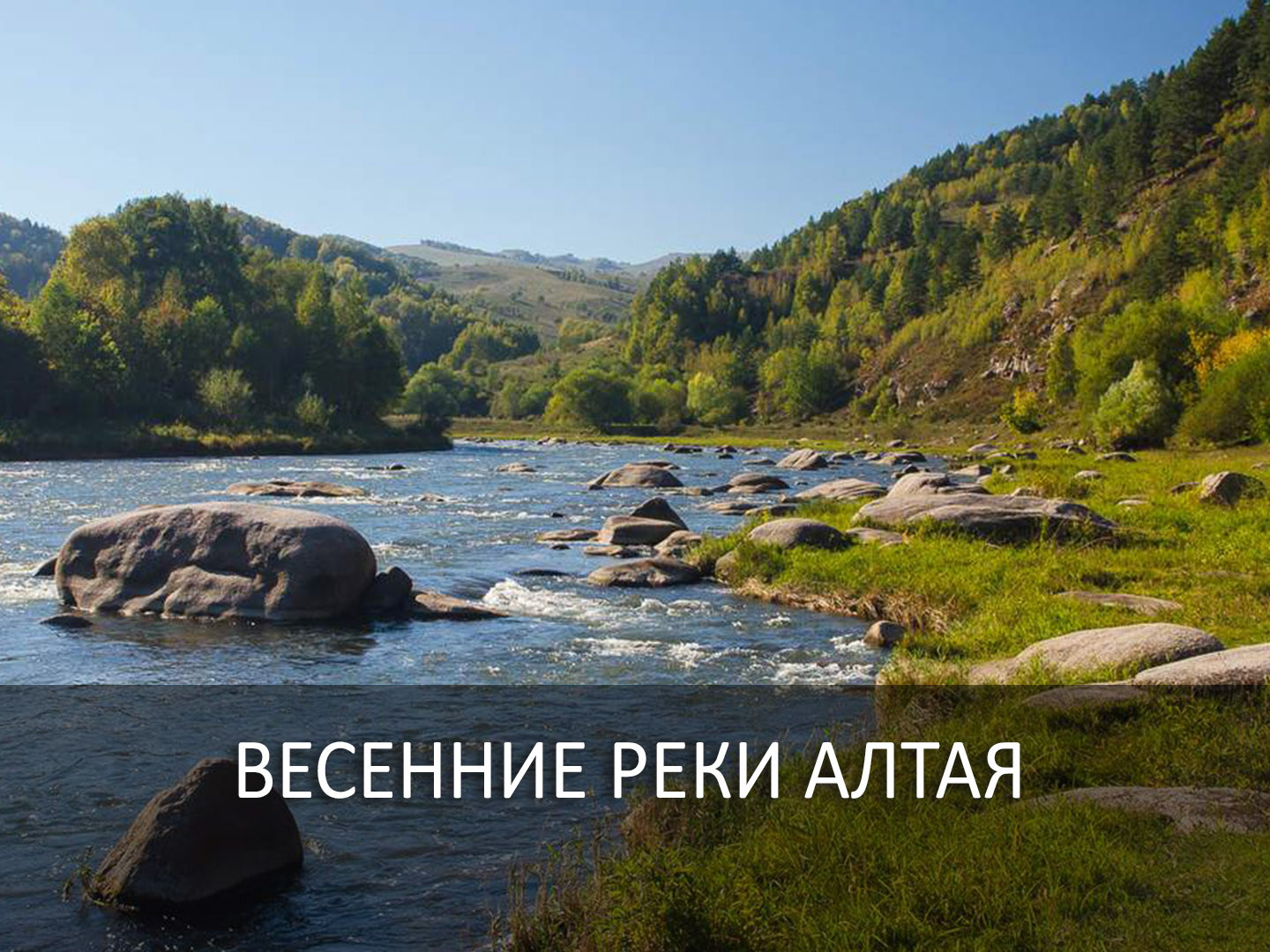 Весенние реки Алтая