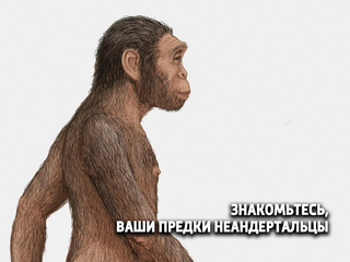 Знакомьтесь, ваши предки неандертальцы