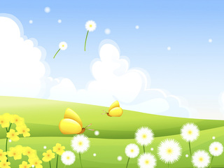 Машæ магуса нал у