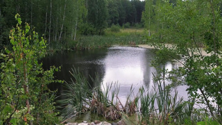 Последнее путешествие Романовых