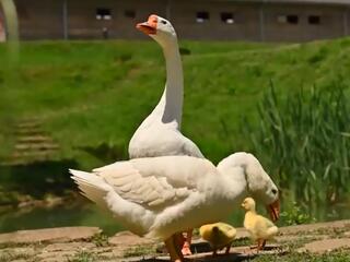 Добро пожаловать в Сочи