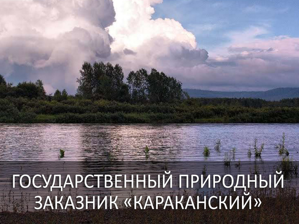 Государственный природный заказник "Караканский"